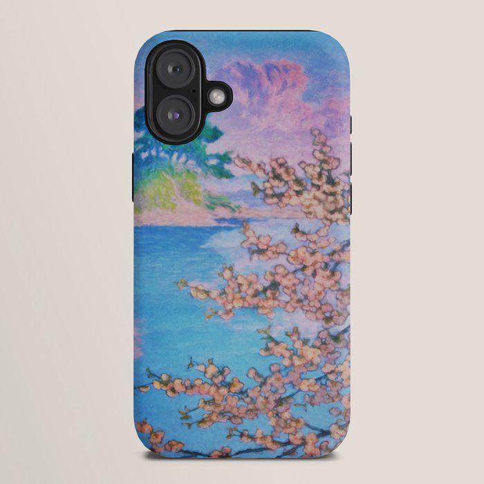 A Closer Look at Kukuyediyo (Series IV of IV) - Nature Landscape iPhone Case