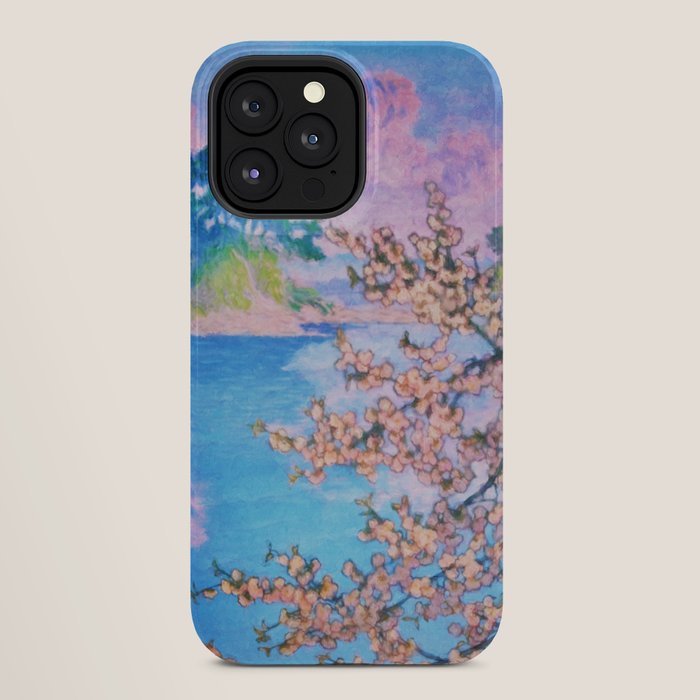 A Closer Look at Kukuyediyo (Series IV of IV) - Nature Landscape iPhone Case