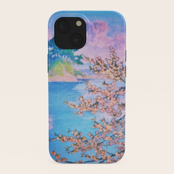 A Closer Look at Kukuyediyo (Series IV of IV) - Nature Landscape iPhone Case