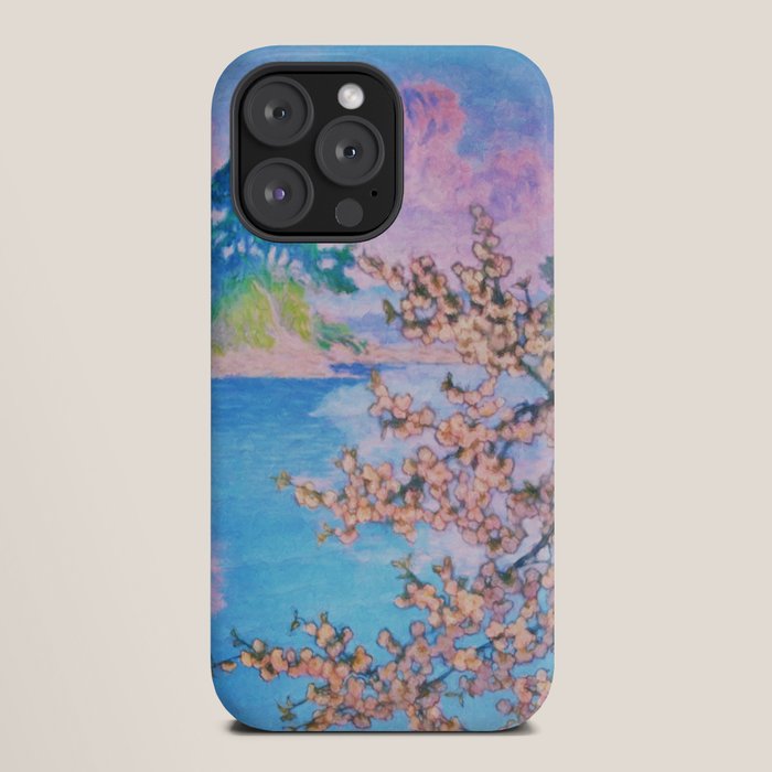 A Closer Look at Kukuyediyo (Series IV of IV) - Nature Landscape iPhone Case