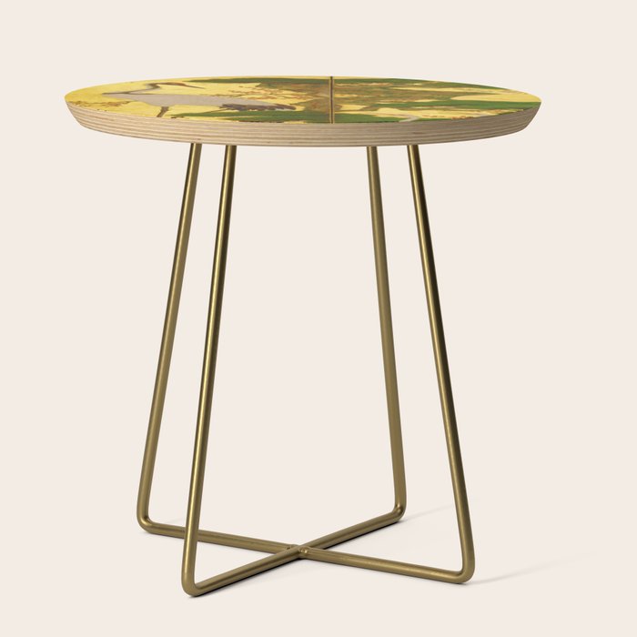 16th Century Japanese Birds & Flowers Side Table