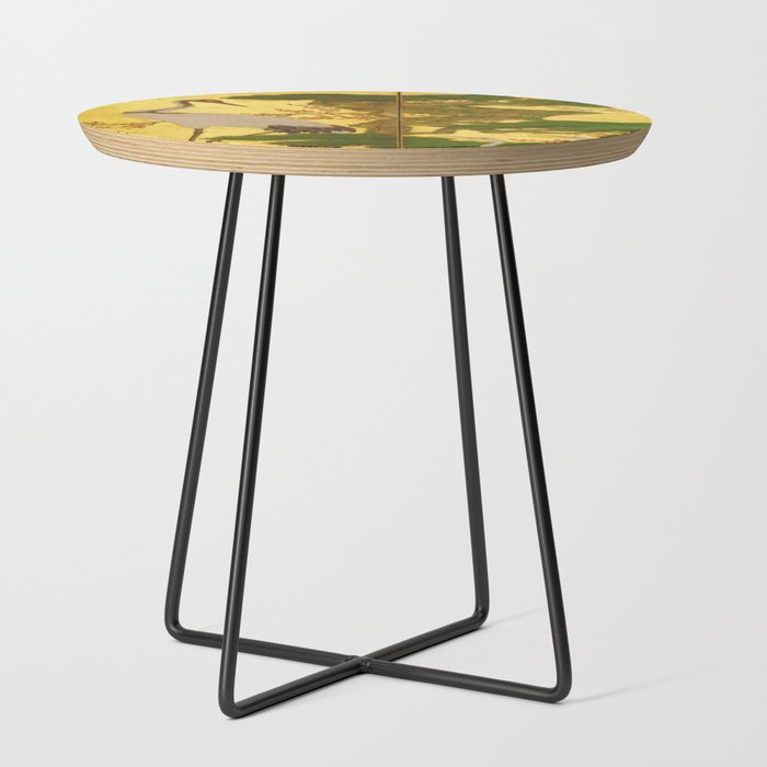 16th Century Japanese Birds & Flowers Side Table