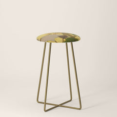 16th Century Japanese Birds & Flowers Stool