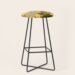 16th Century Japanese Birds & Flowers Stool