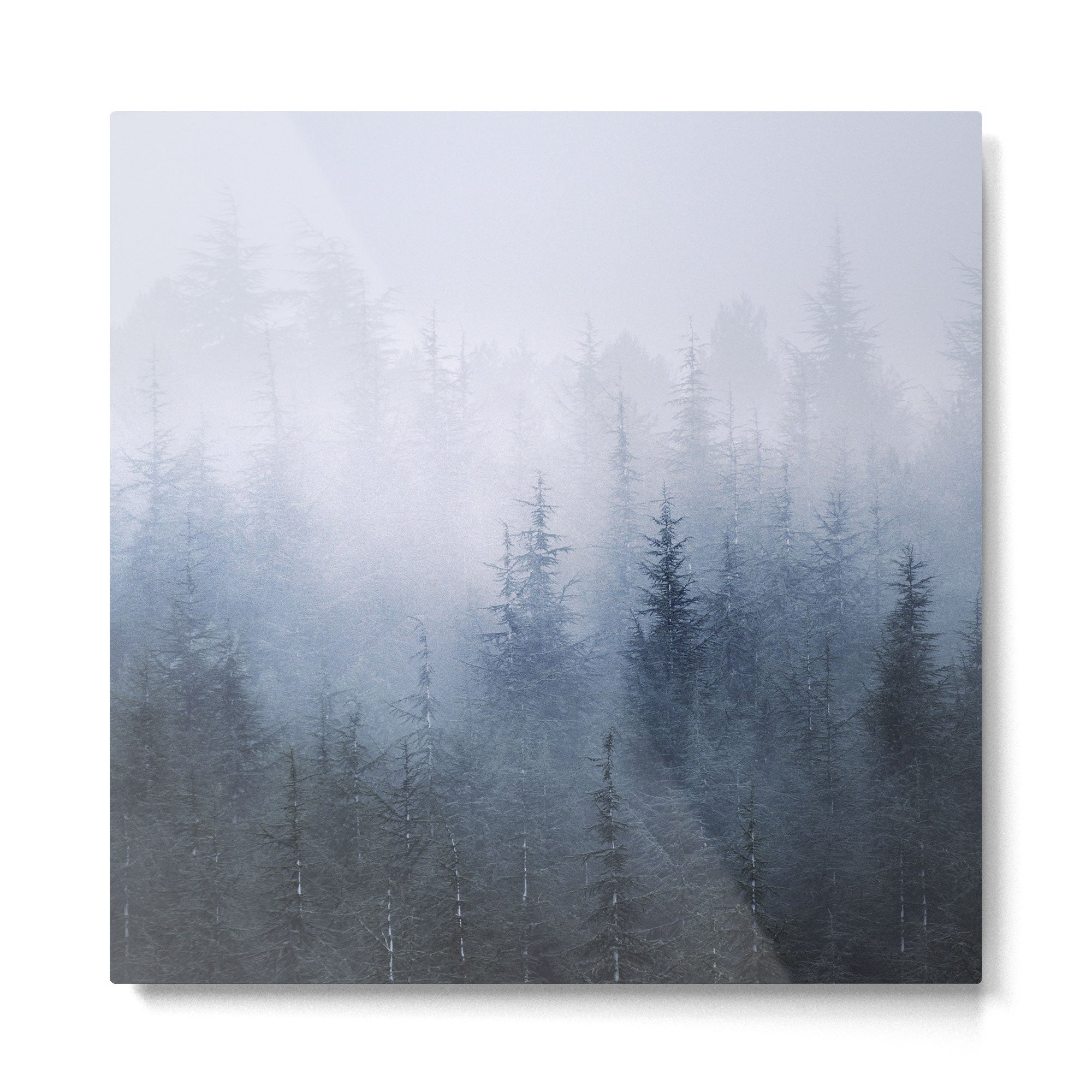 "Simbiosis" Metal Print