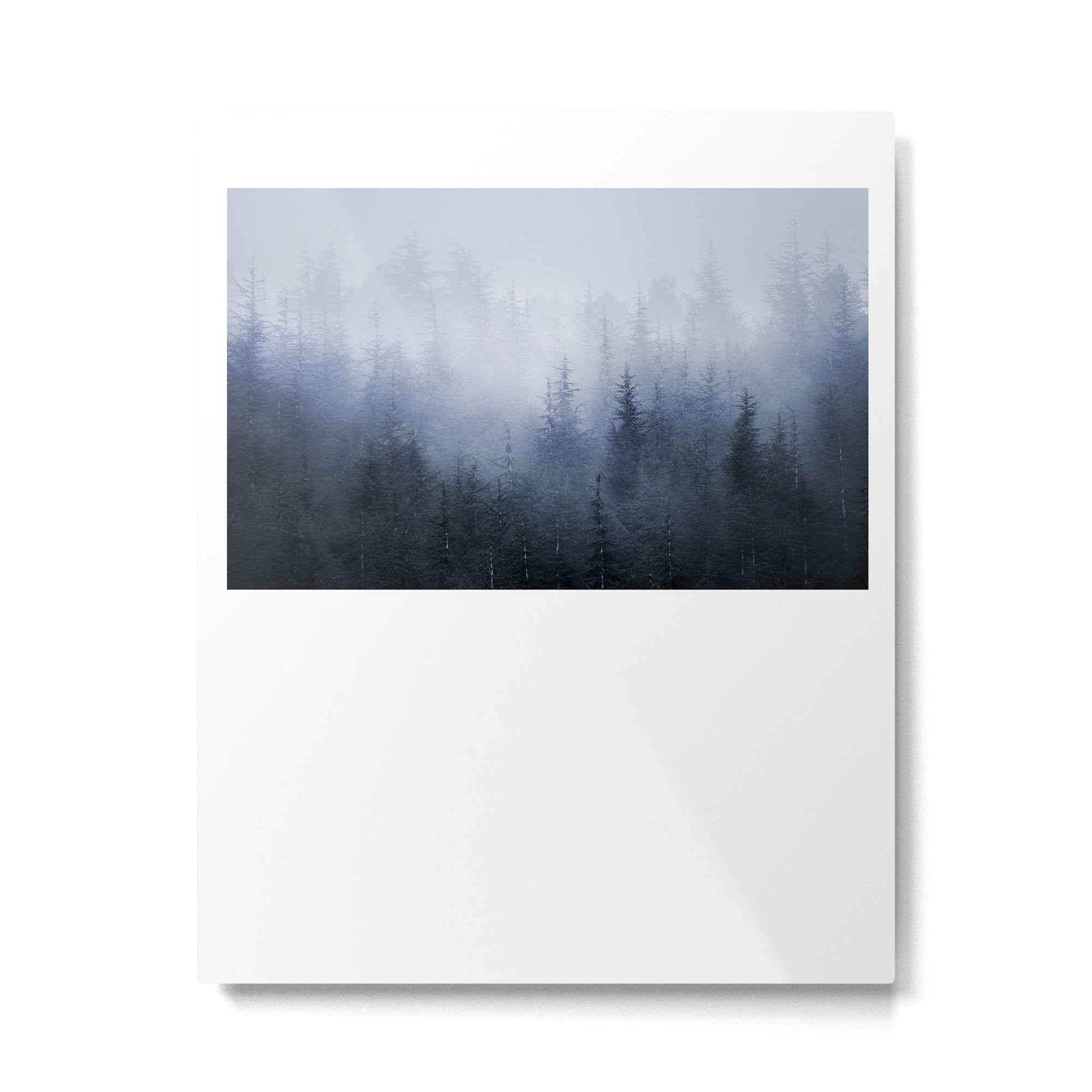 "Simbiosis" Metal Print