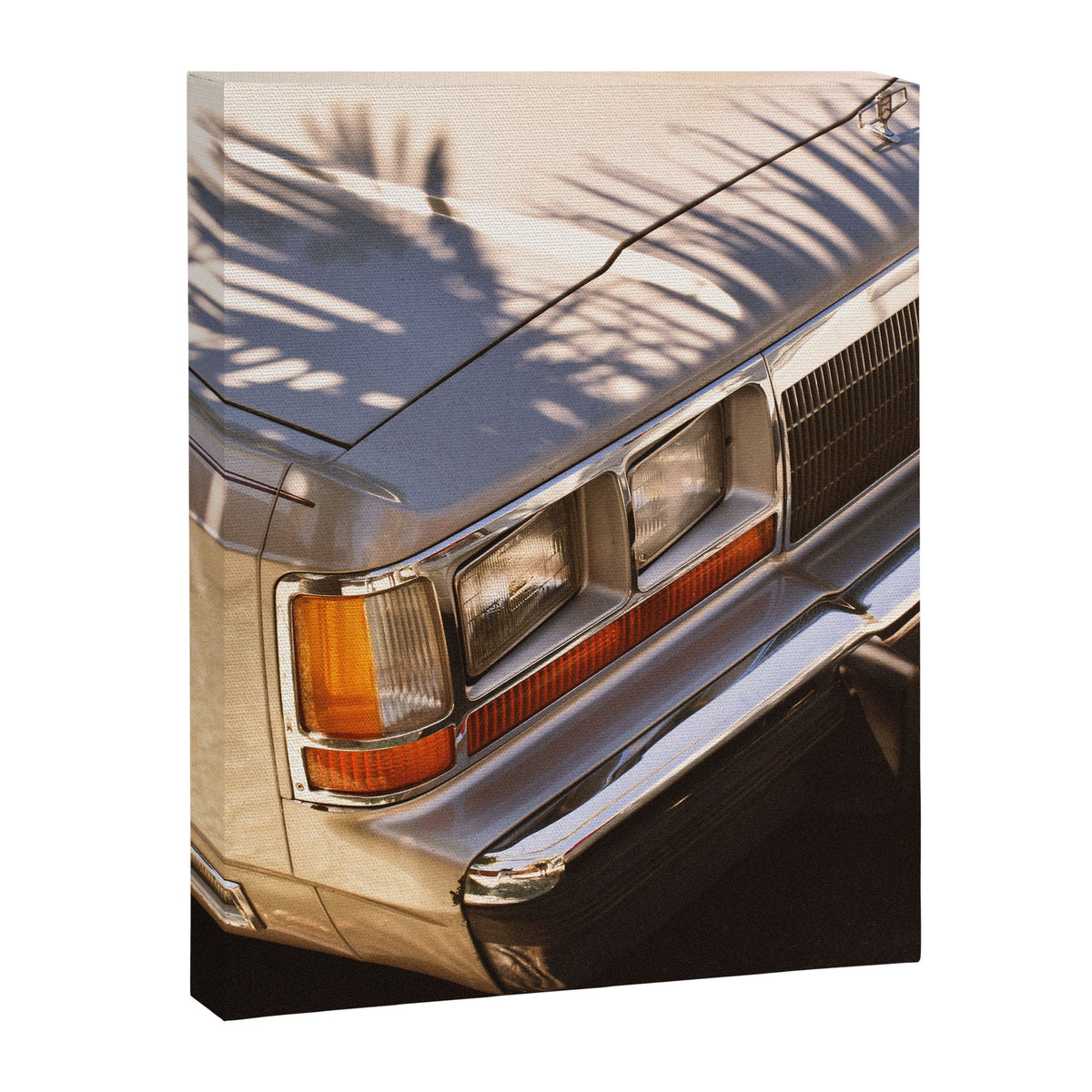 18.27.03 Canvas Print