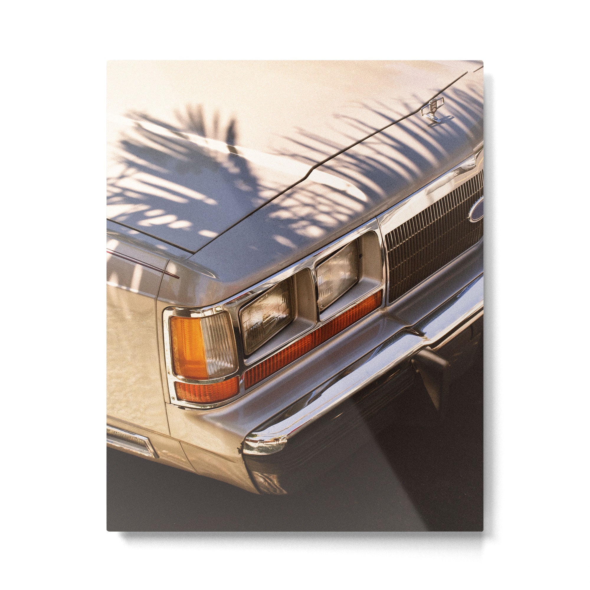 18.27.03 Metal Print