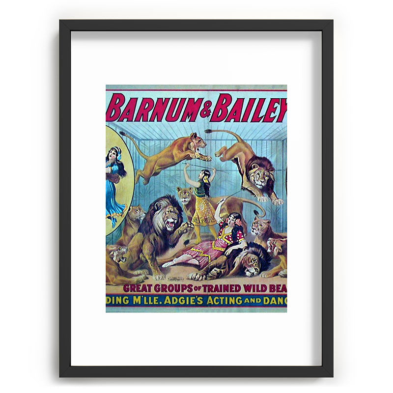 1910 Barnum & Bailey Circus Dancing Lions - M'lle Adgi's Acting Vintage Poster Framed Art Print