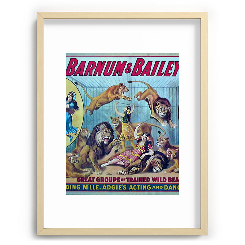 1910 Barnum & Bailey Circus Dancing Lions - M'lle Adgi's Acting Vintage Poster Framed Art Print