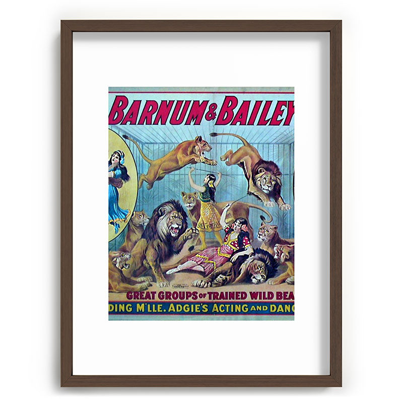 1910 Barnum & Bailey Circus Dancing Lions - M'lle Adgi's Acting Vintage Poster Framed Art Print