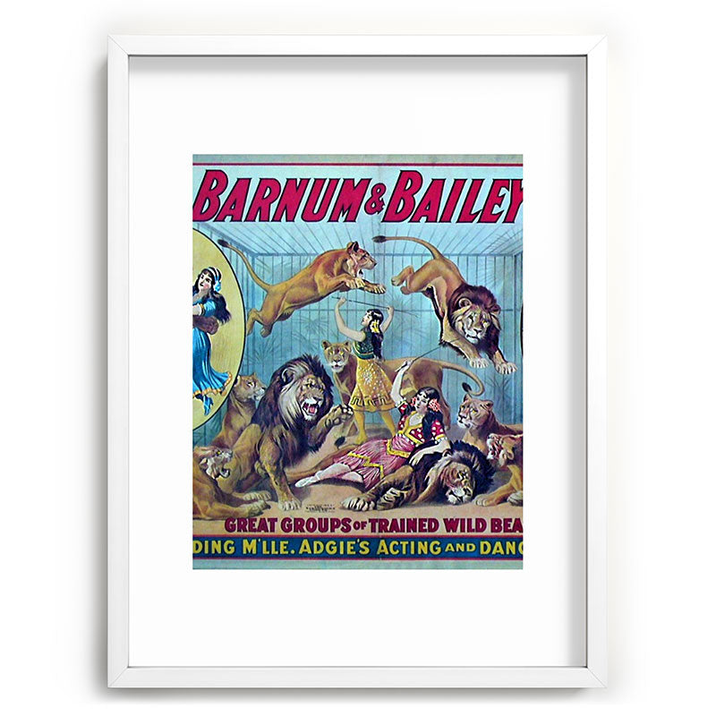 1910 Barnum & Bailey Circus Dancing Lions - M'lle Adgi's Acting Vintage Poster Framed Art Print