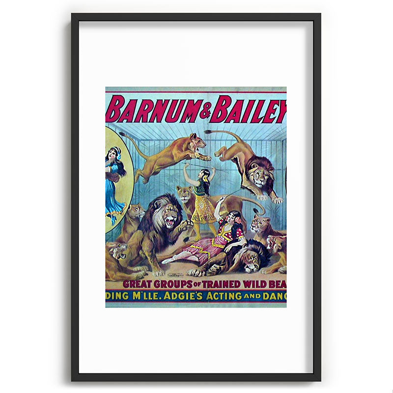 1910 Barnum & Bailey Circus Dancing Lions - M'lle Adgi's Acting Vintage Poster Framed Art Print
