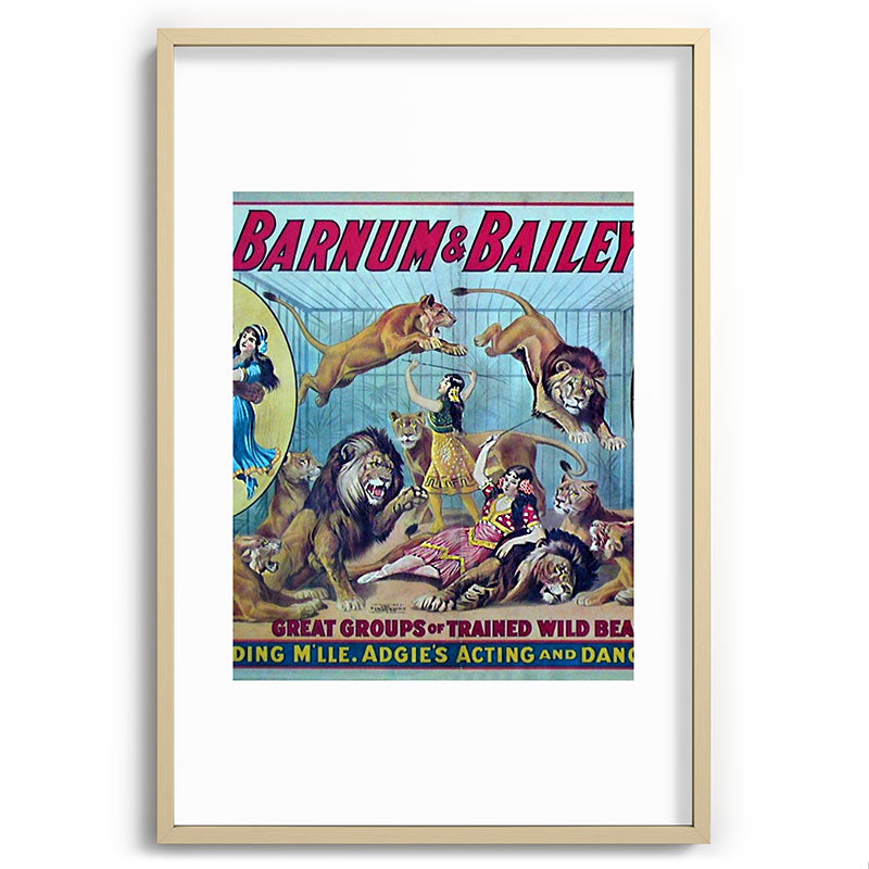 1910 Barnum & Bailey Circus Dancing Lions - M'lle Adgi's Acting Vintage Poster Framed Art Print