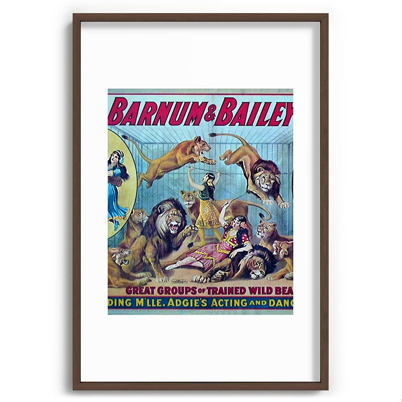 1910 Barnum & Bailey Circus Dancing Lions - M'lle Adgi's Acting Vintage Poster Framed Art Print