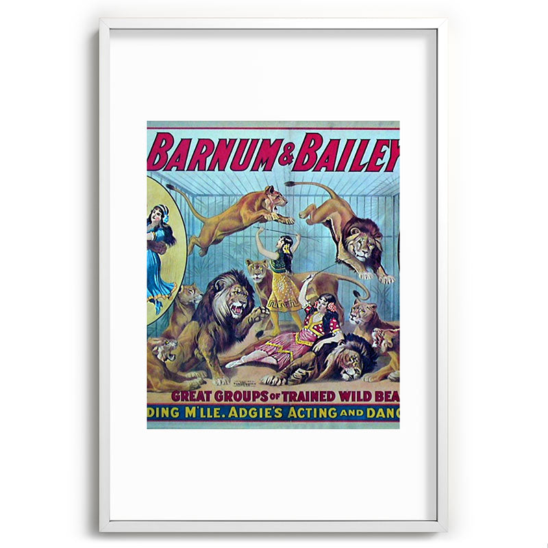 1910 Barnum & Bailey Circus Dancing Lions - M'lle Adgi's Acting Vintage Poster Framed Art Print