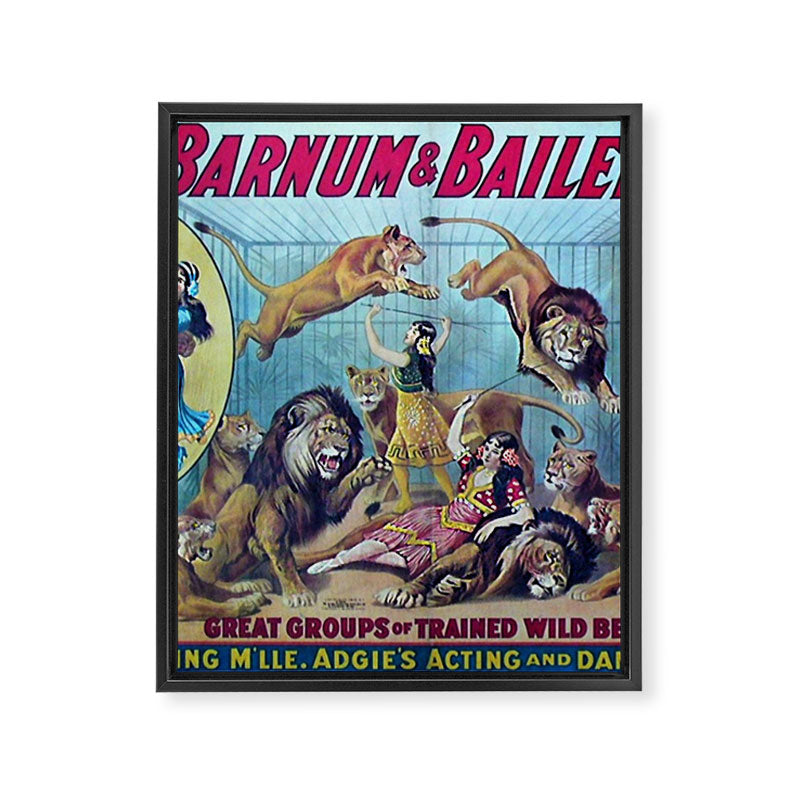 1910 Barnum & Bailey Circus Dancing Lions - M'lle Adgi's Acting Vintage Poster Framed Canvas Print