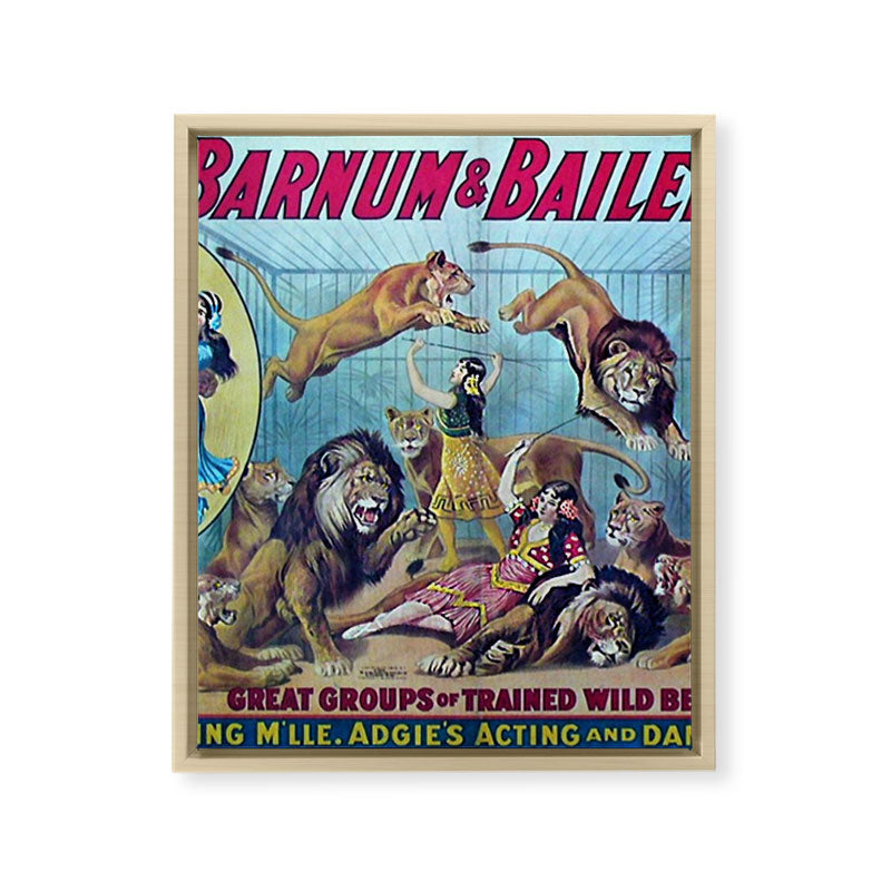 1910 Barnum & Bailey Circus Dancing Lions - M'lle Adgi's Acting Vintage Poster Framed Canvas Print