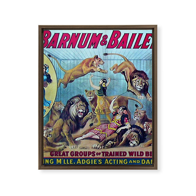 1910 Barnum & Bailey Circus Dancing Lions - M'lle Adgi's Acting Vintage Poster Framed Canvas Print