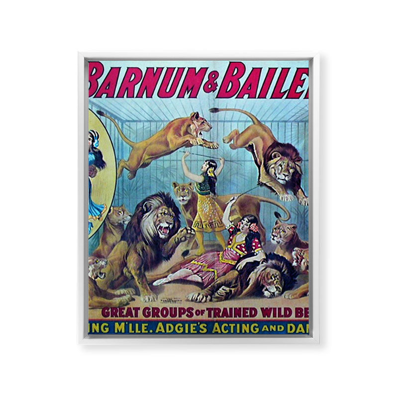 1910 Barnum & Bailey Circus Dancing Lions - M'lle Adgi's Acting Vintage Poster Framed Canvas Print
