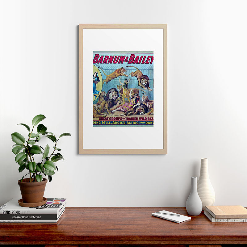 1910 Barnum & Bailey Circus Dancing Lions - M'lle Adgi's Acting Vintage Poster Framed Art Print