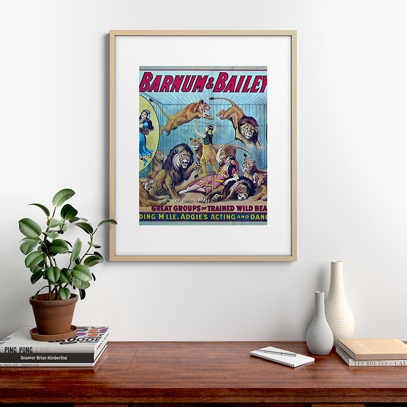 1910 Barnum & Bailey Circus Dancing Lions - M'lle Adgi's Acting Vintage Poster Framed Art Print