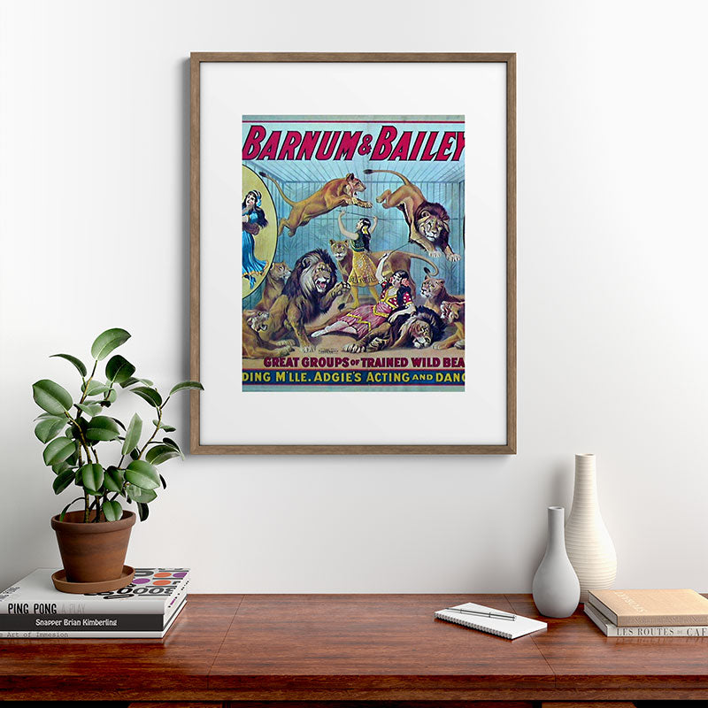1910 Barnum & Bailey Circus Dancing Lions - M'lle Adgi's Acting Vintage Poster Framed Art Print