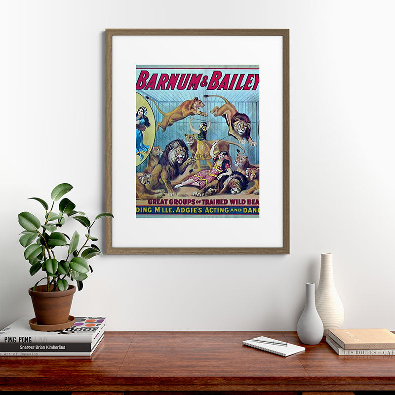 1910 Barnum & Bailey Circus Dancing Lions - M'lle Adgi's Acting Vintage Poster Framed Art Print