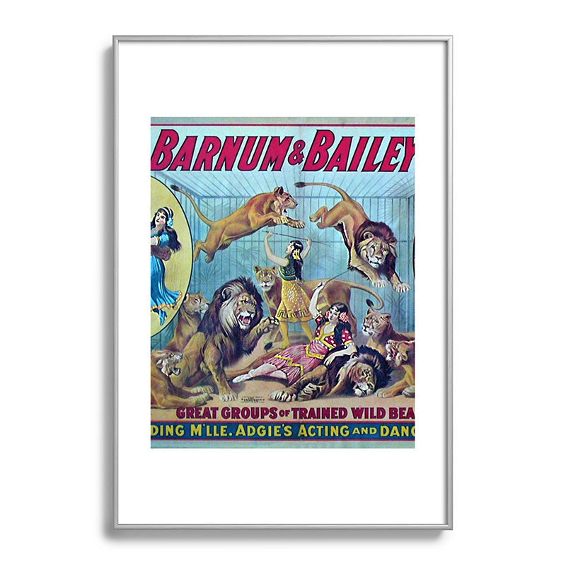 1910 Barnum & Bailey Circus Dancing Lions - M'lle Adgi's Acting Vintage Poster Framed Art Print