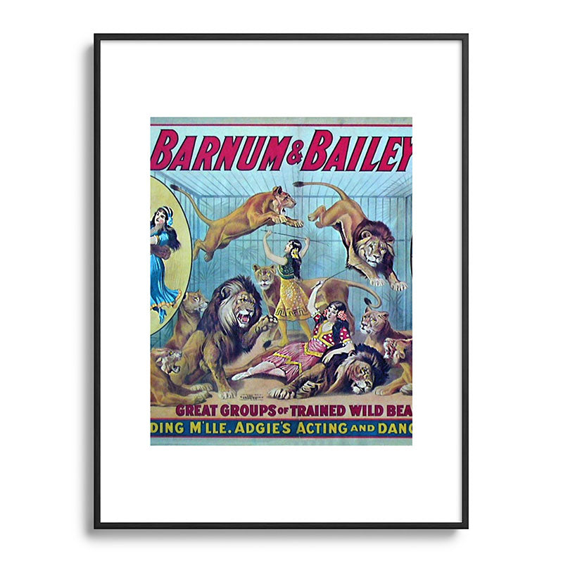 1910 Barnum & Bailey Circus Dancing Lions - M'lle Adgi's Acting Vintage Poster Framed Art Print