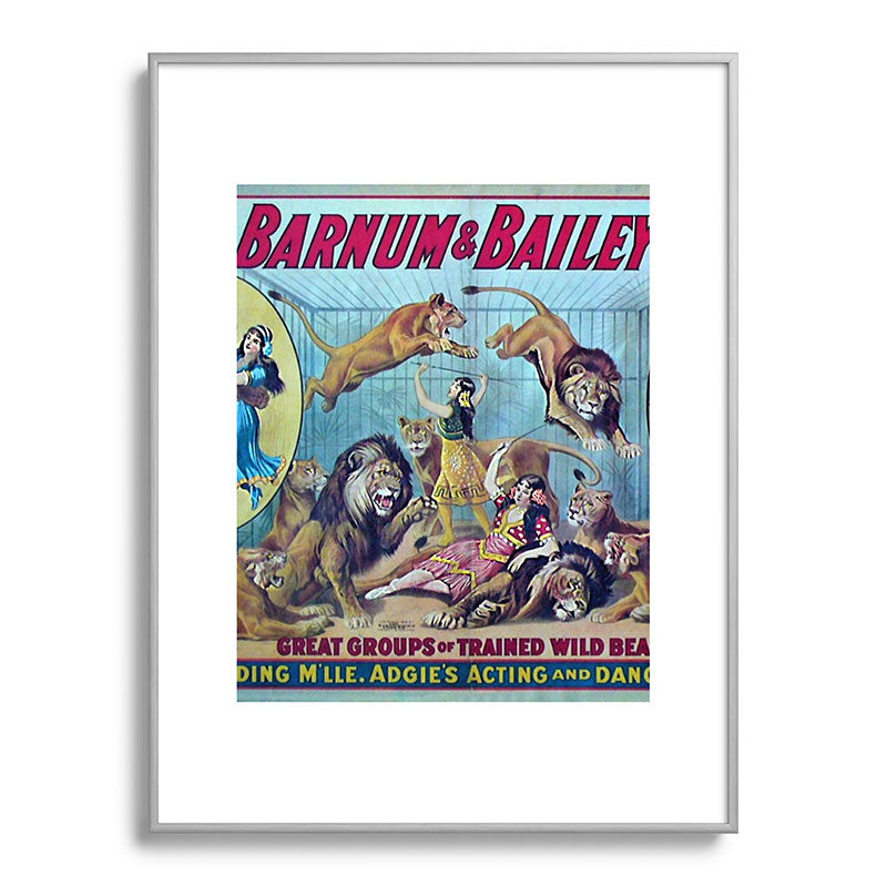 1910 Barnum & Bailey Circus Dancing Lions - M'lle Adgi's Acting Vintage Poster Framed Art Print