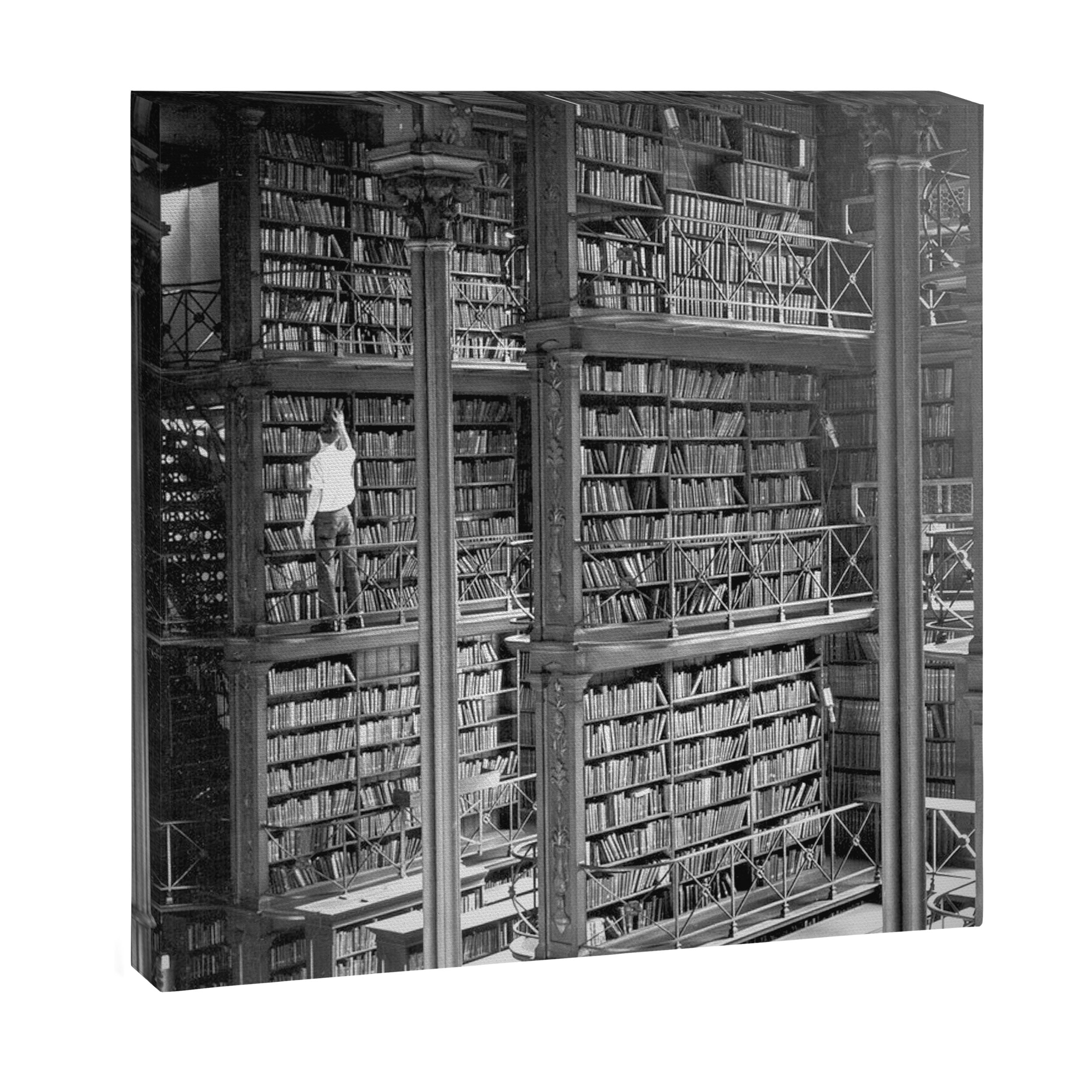 A book lovers dream - Cast-iron Book Alcoves Cincinnati Library black and white photography Canvas Print