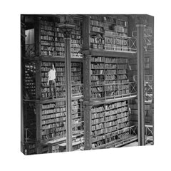 A book lovers dream - Cast-iron Book Alcoves Cincinnati Library black and white photography Canvas Print