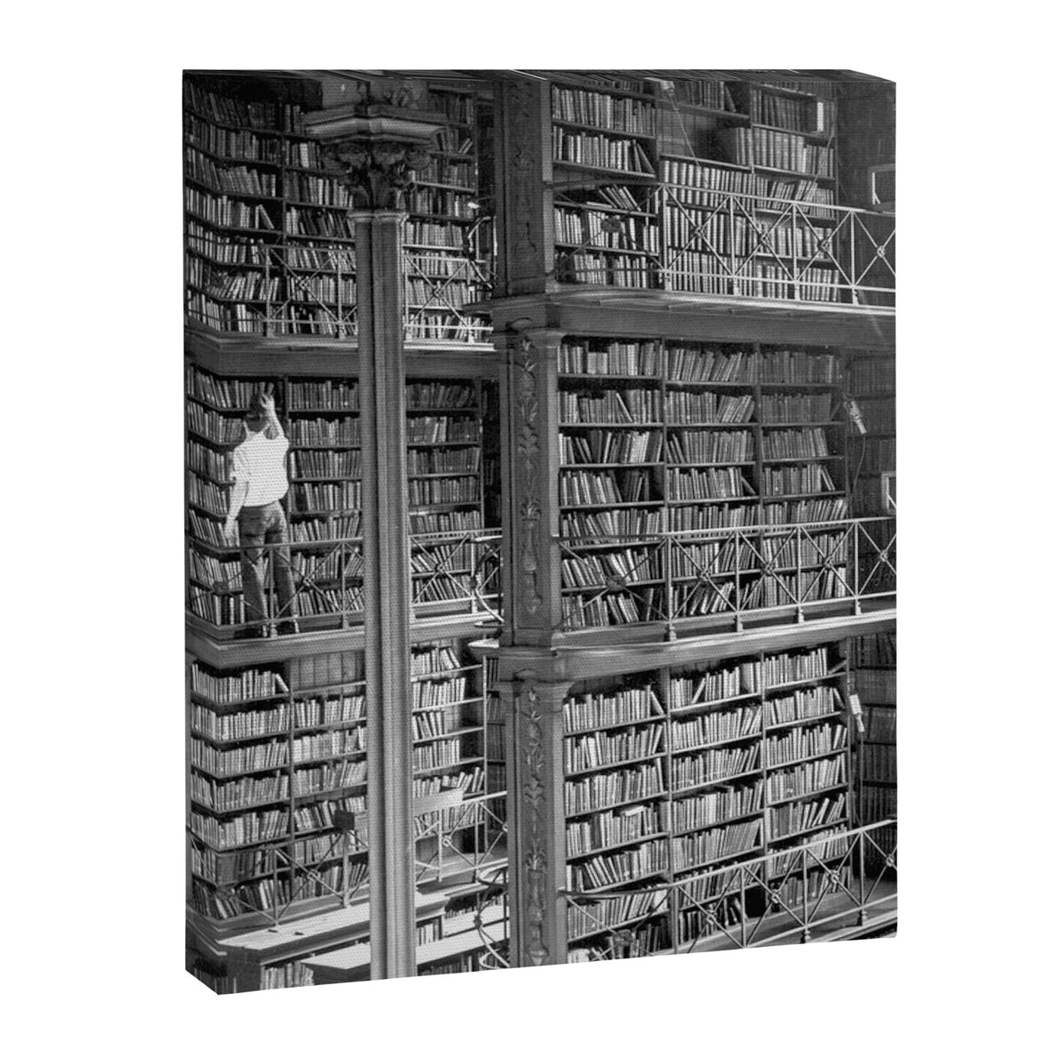 A book lovers dream - Cast-iron Book Alcoves Cincinnati Library black and white photography Canvas Print