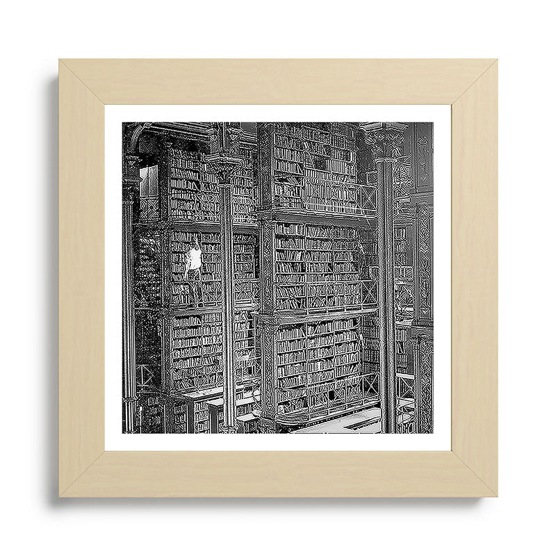 A book lovers dream - Cast-iron Book Alcoves Cincinnati Library black and white photography Framed Art Print