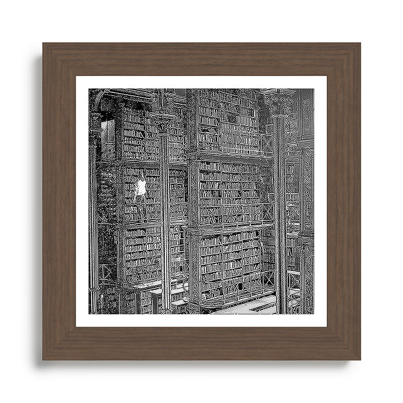 A book lovers dream - Cast-iron Book Alcoves Cincinnati Library black and white photography Framed Art Print