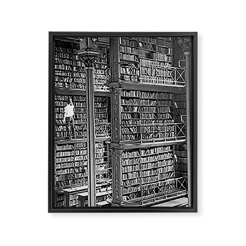 A book lovers dream - Cast-iron Book Alcoves Cincinnati Library black and white photography Framed Canvas Print
