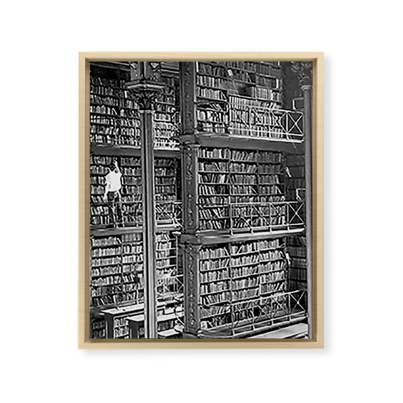 A book lovers dream - Cast-iron Book Alcoves Cincinnati Library black and white photography Framed Canvas Print