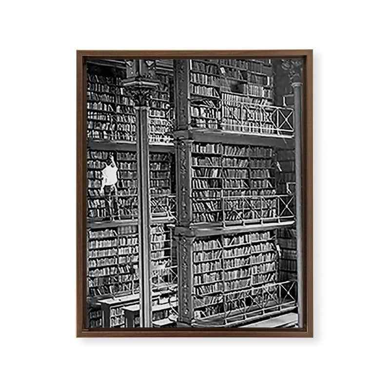 A book lovers dream - Cast-iron Book Alcoves Cincinnati Library black and white photography Framed Canvas Print