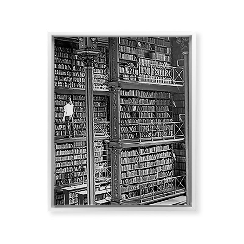A book lovers dream - Cast-iron Book Alcoves Cincinnati Library black and white photography Framed Canvas Print