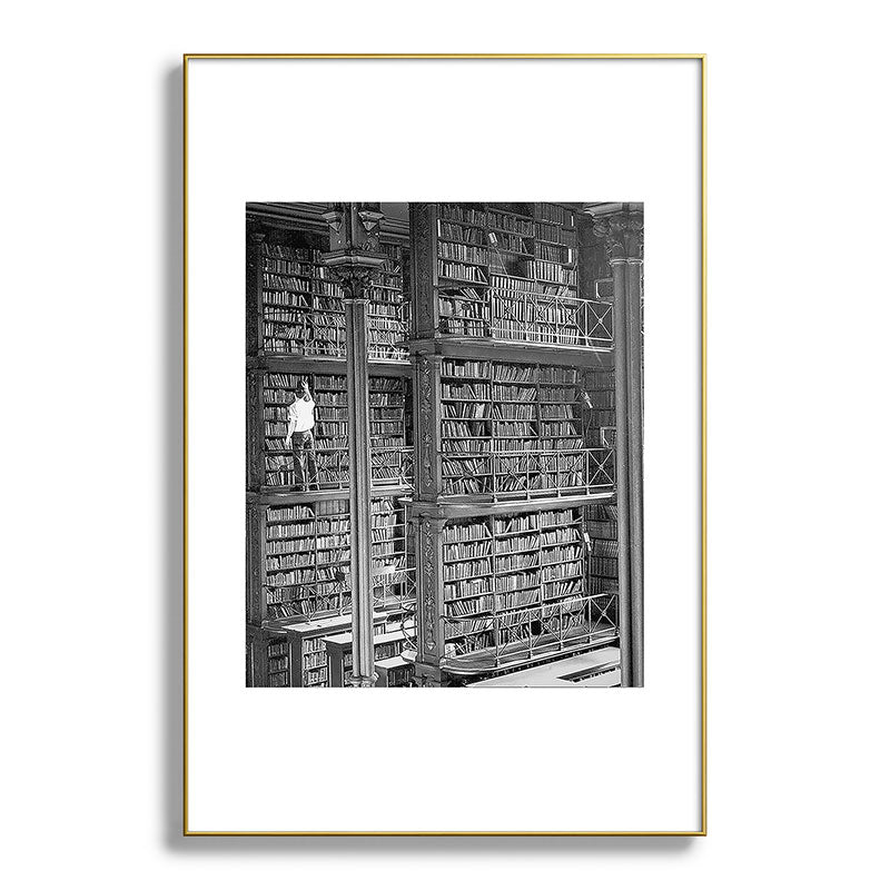 A book lovers dream - Cast-iron Book Alcoves Cincinnati Library black and white photography Framed Art Print