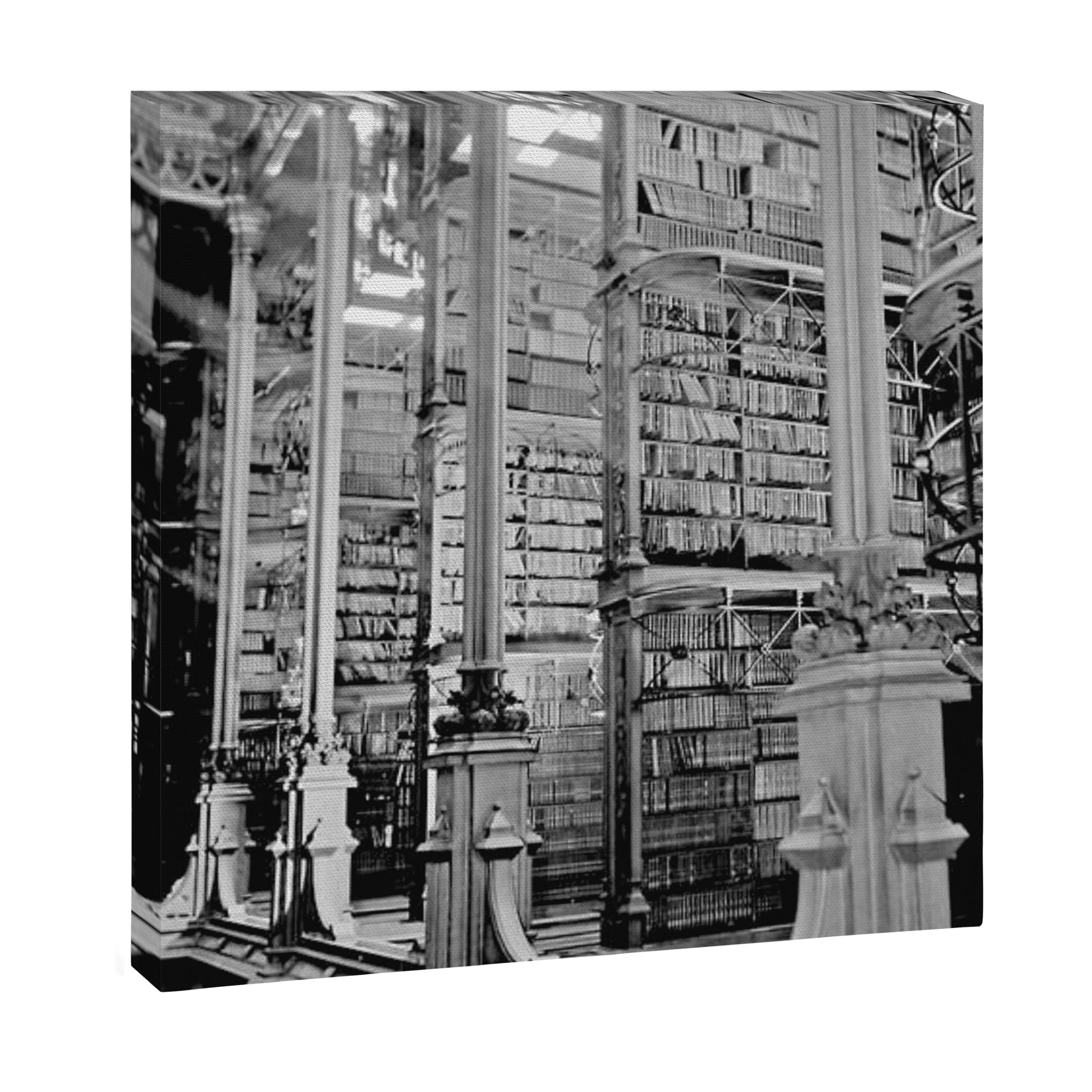 A Book Lover's Dream - Cincinnati Public Library black and white photographs / black and white photo Canvas Print