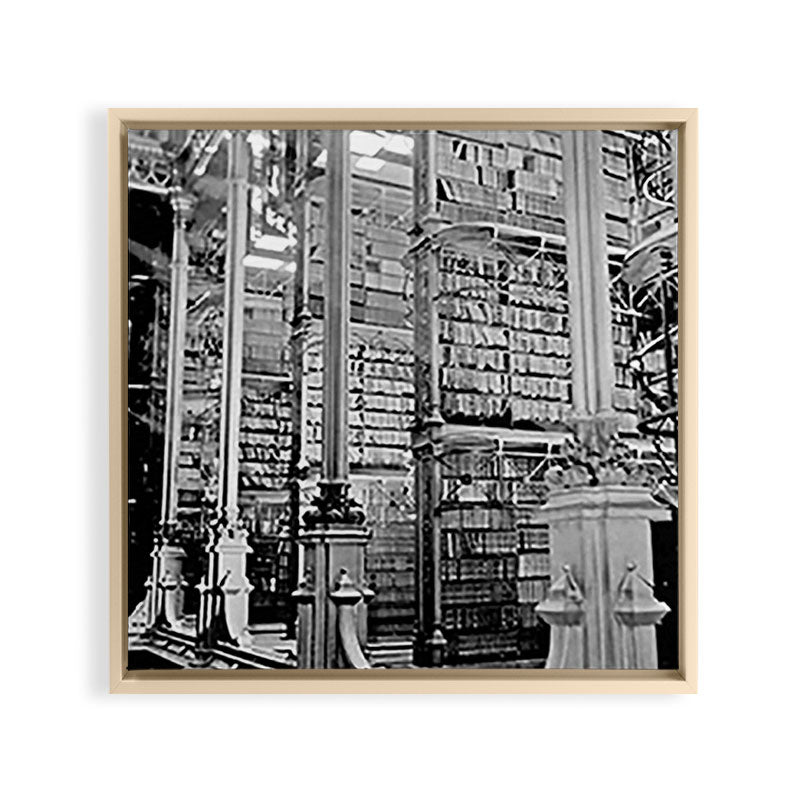 A Book Lover's Dream - Cincinnati Public Library black and white photographs / black and white photo Framed Canvas Print