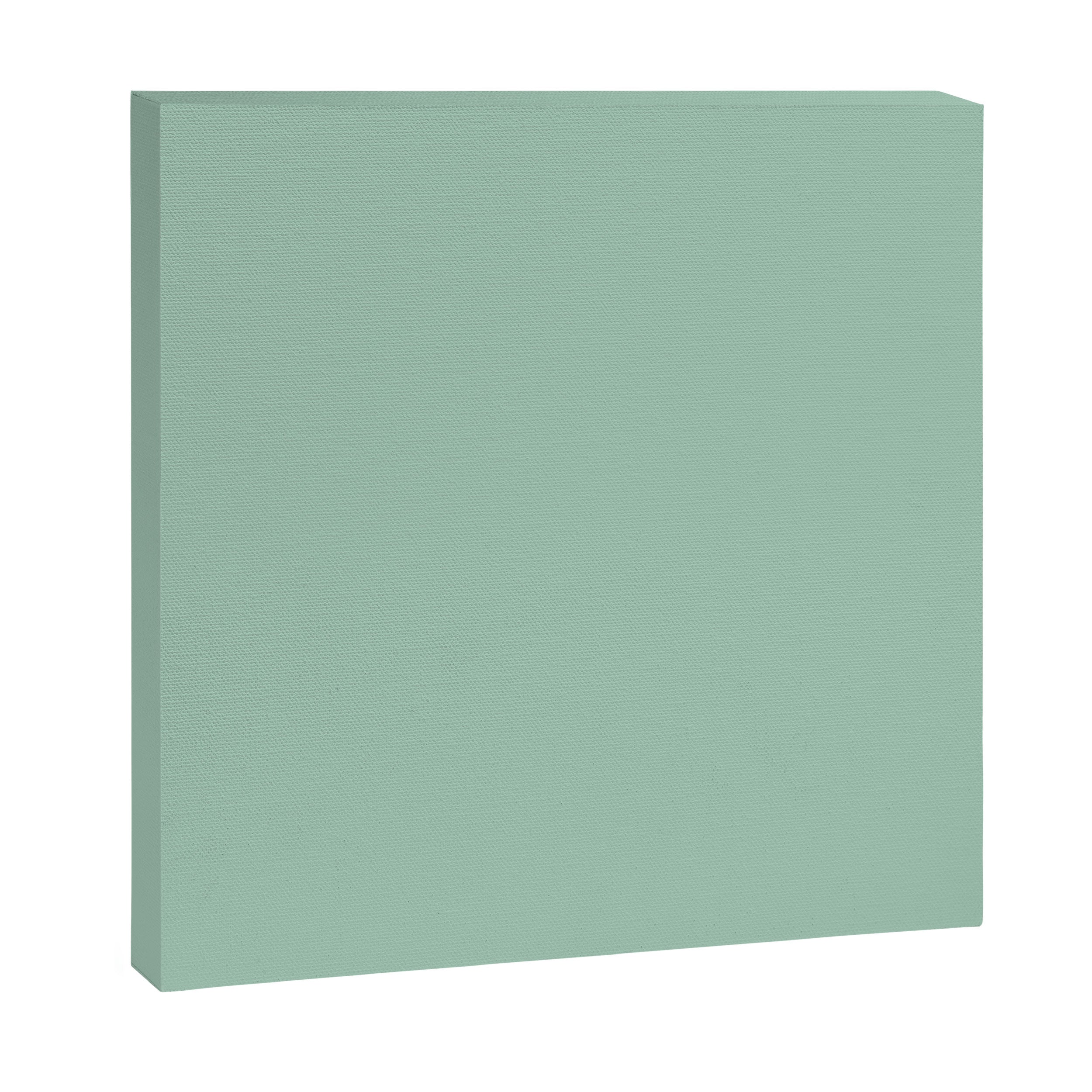 1950s Mint Green Solid Canvas Print
