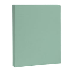 1950s Mint Green Solid Canvas Print