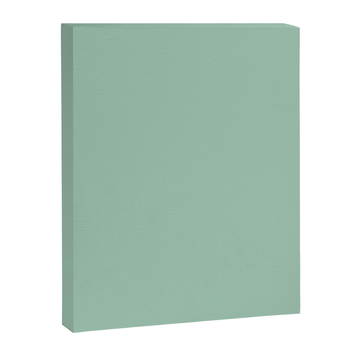 1950s Mint Green Solid Canvas Print