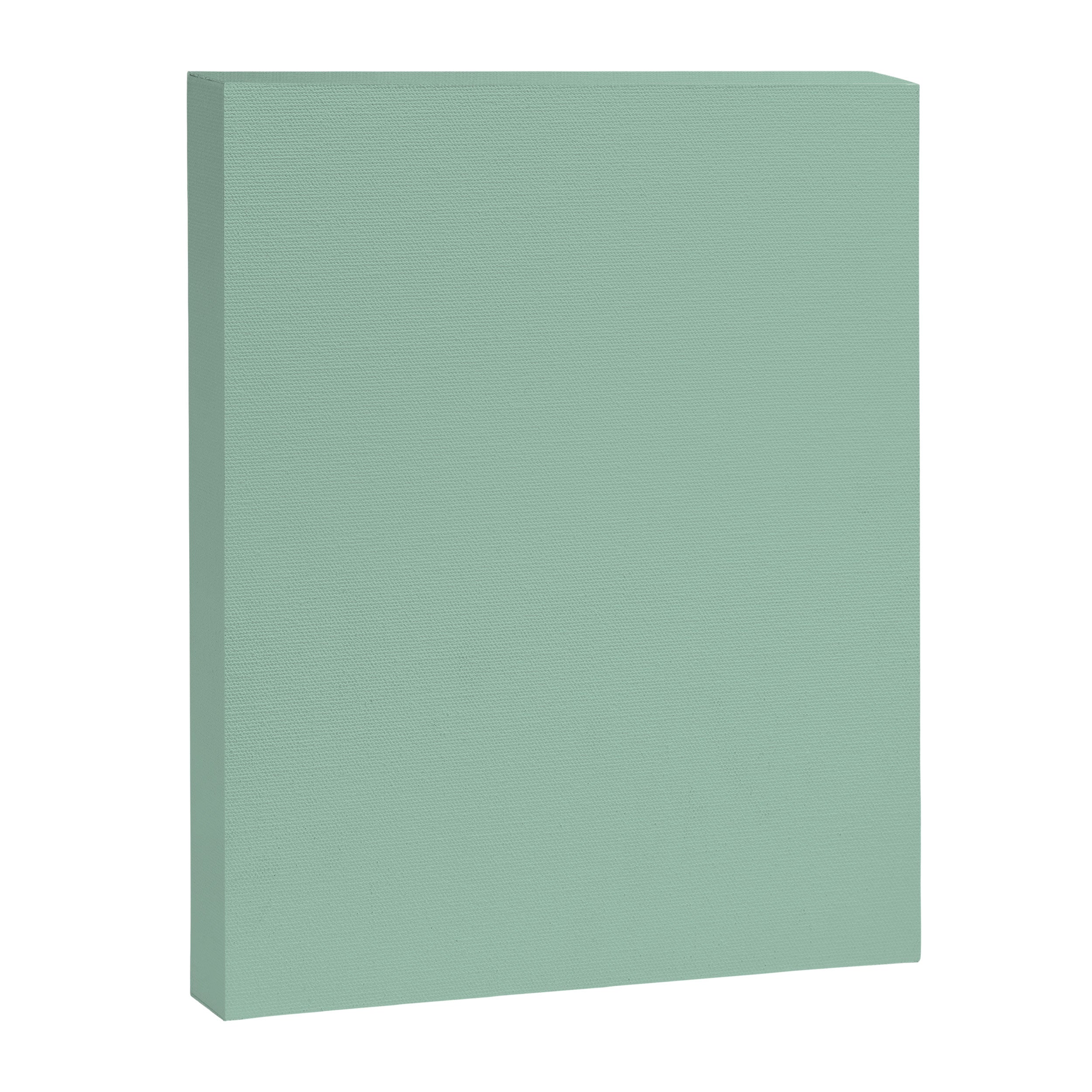 1950s Mint Green Solid Canvas Print
