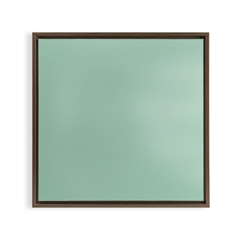 1950s Mint Green Solid Framed Canvas Print