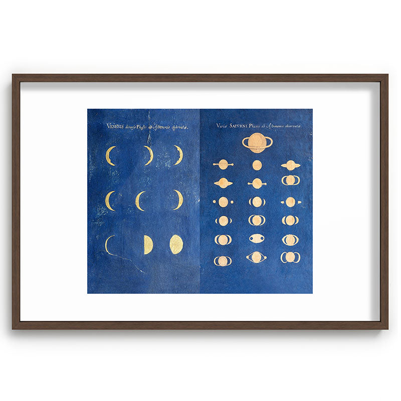 17th-Century Astronomical Art by Maria Clara Eimmart: Phases of Venus and Saturn Framed Art Print