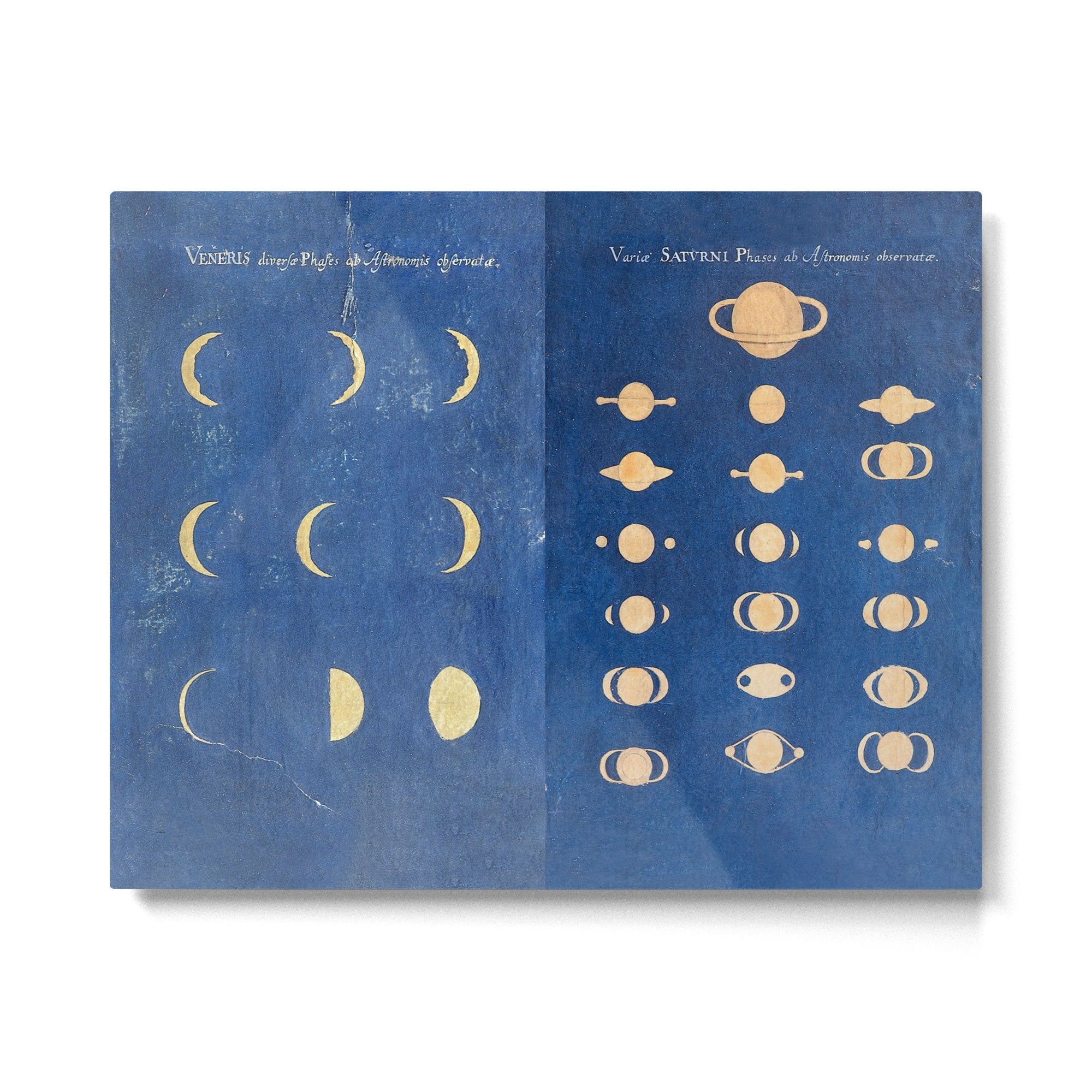17th-Century Astronomical Art by Maria Clara Eimmart: Phases of Venus and Saturn Metal Print